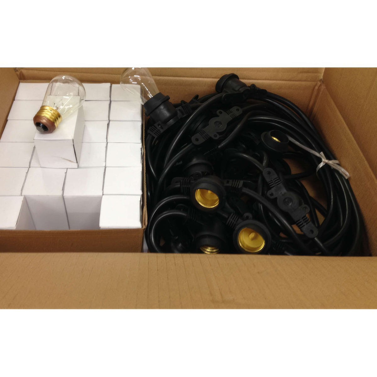 CTL 48Ft LED String Light w/ 18 Bulbs Included