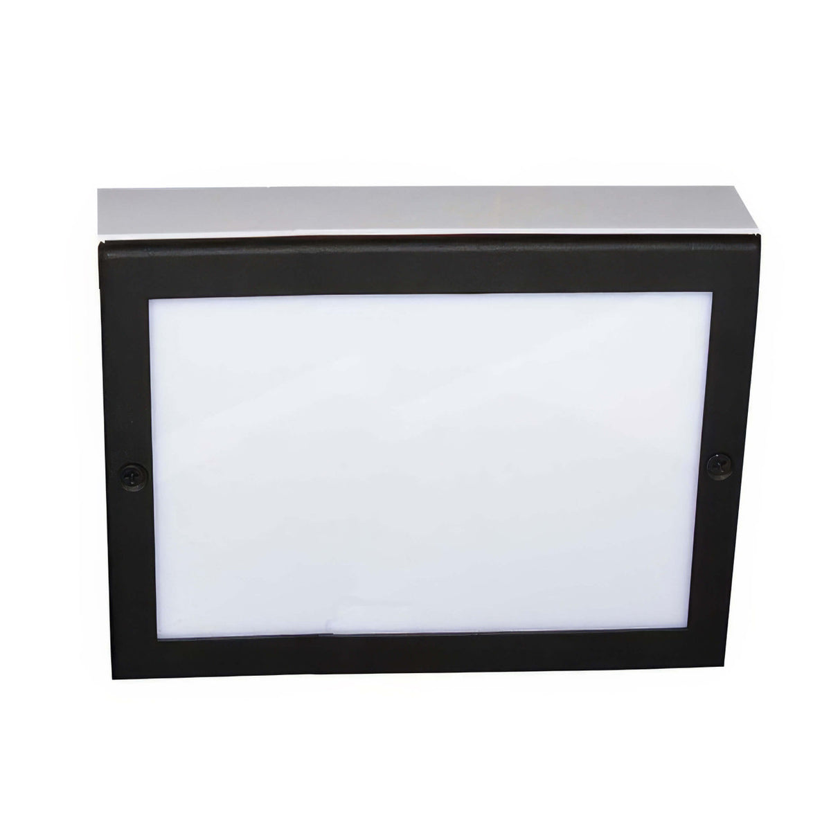 Focus SL-44-69-BLT 12V In-Ground Aluminum Paver Light - Black