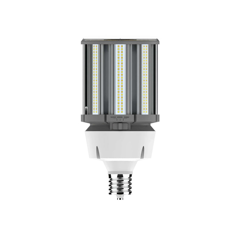 RAB High-Voltage Post Top LED Bulb w/ Adjustable-CCT