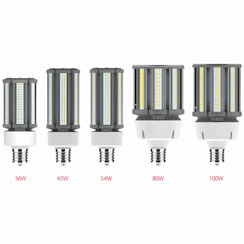 RAB High-Voltage Post Top LED Bulb w/ Adjustable-CCT