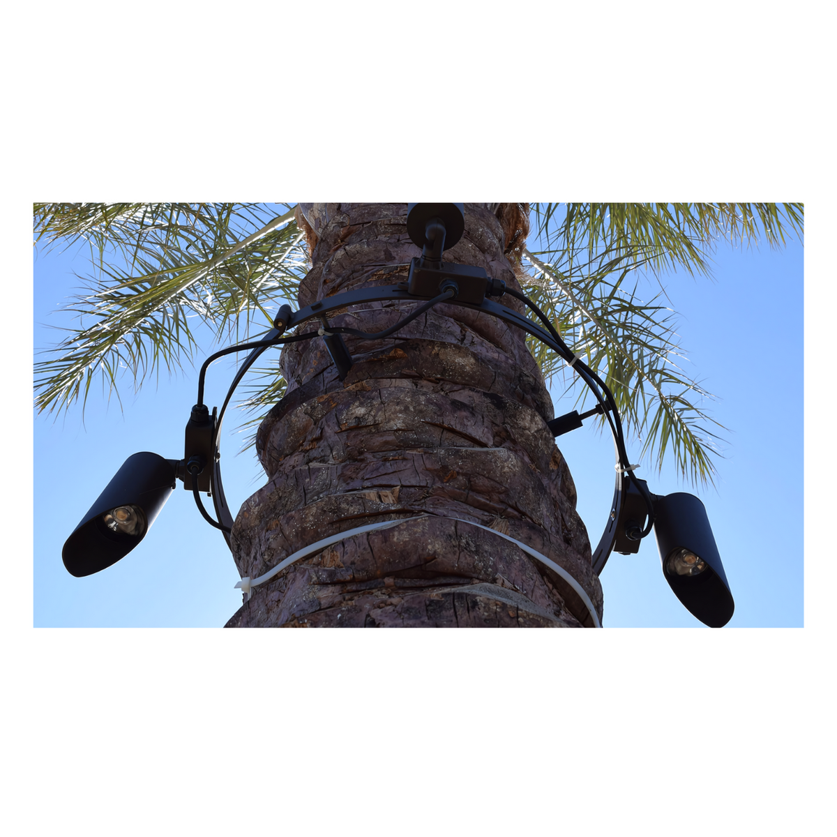 Focus RXD-02 Series Directional Light