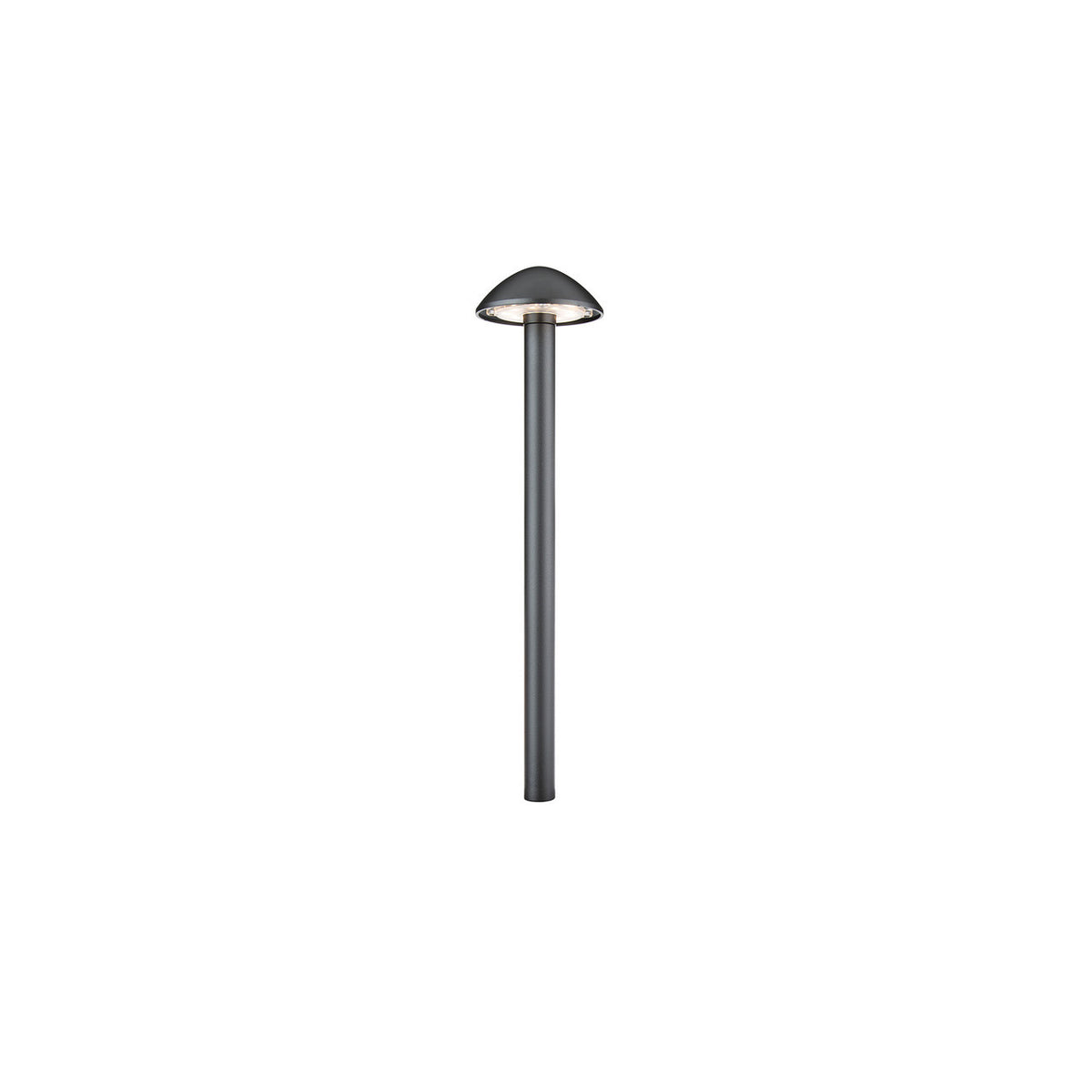 WAC 9V/15V LED  Bamboo Flame Walkway Light