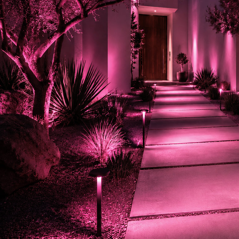 colorscaping pink