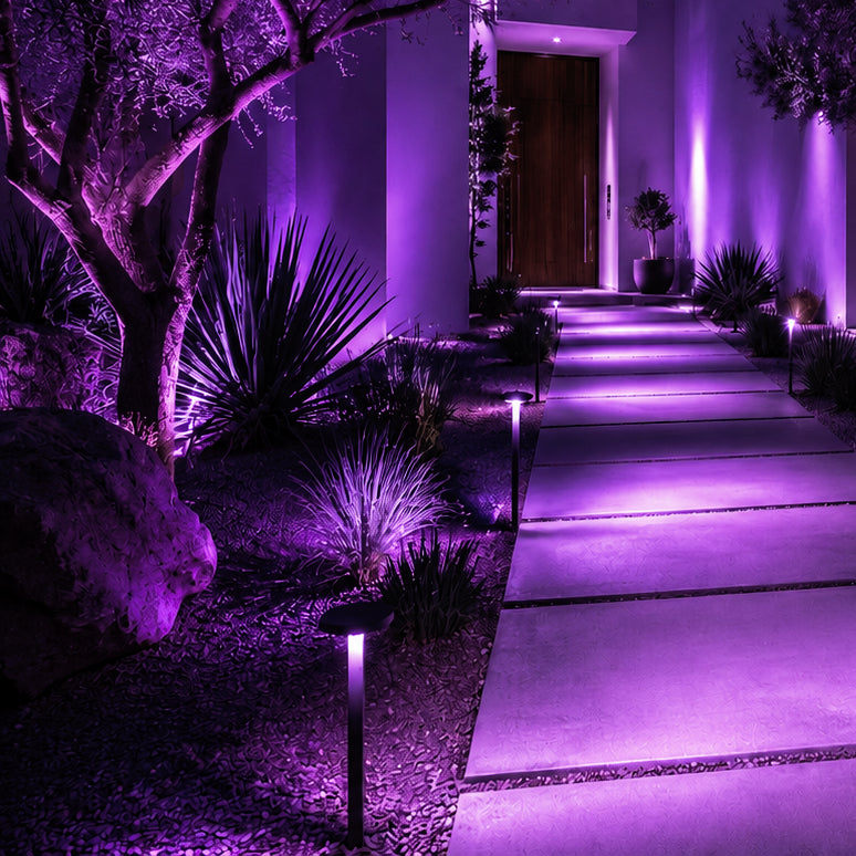 colorscaping purple